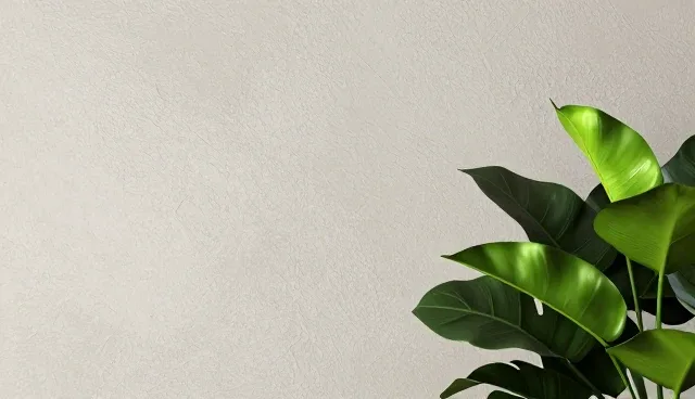 同城配送时效性:适用场景与限制分析